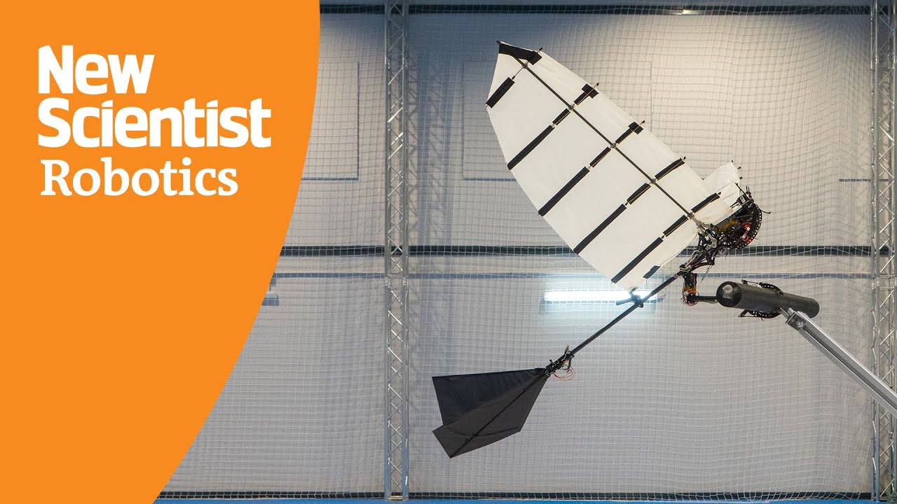 Watch this robot bird use a talon-like claw to land safely on a perch