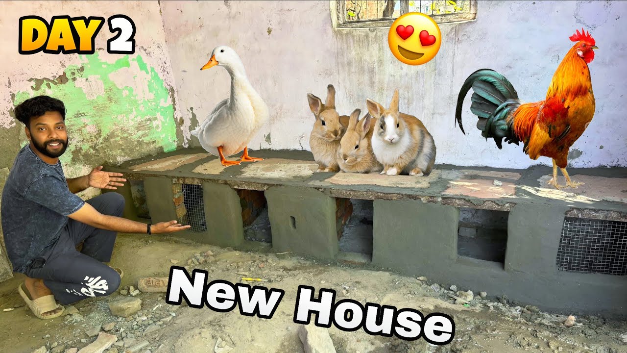MinI ZoO M BanayA PetS KA NayA GhaR 😍 || PART 2 || 
