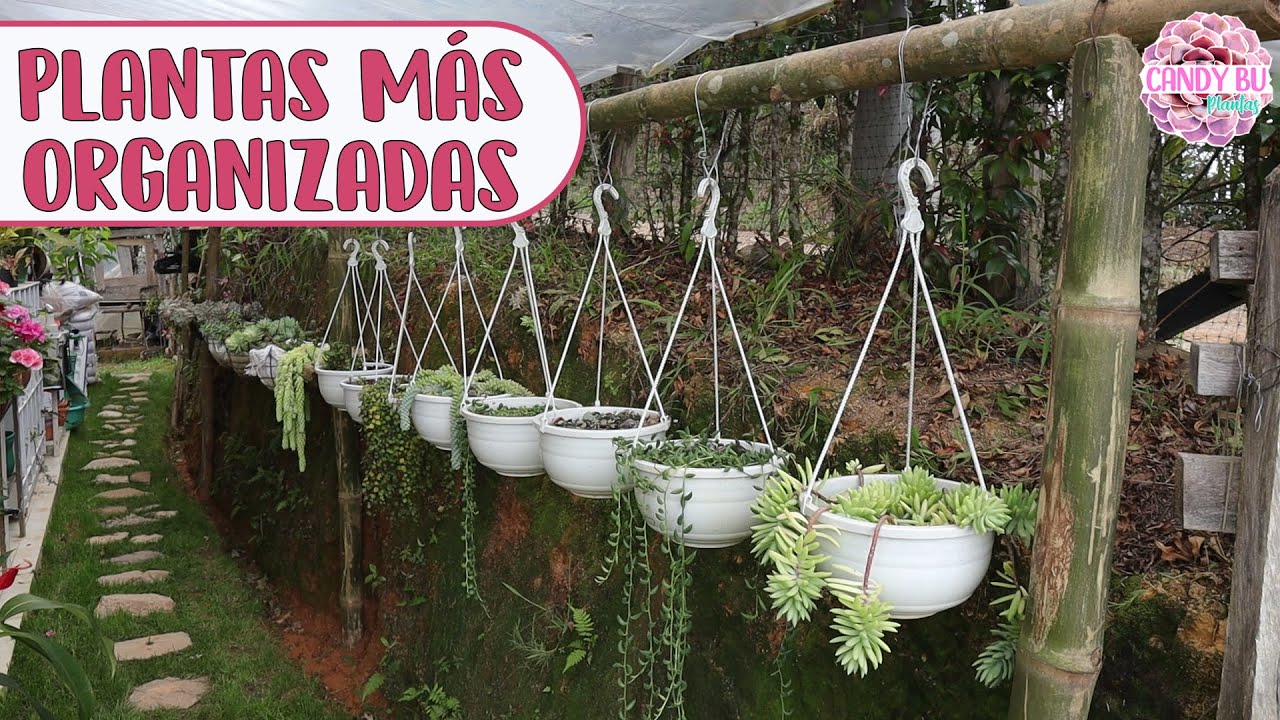 COLGADOR DE PLANTAS CON PALOS DE BAMBÚ: Cómo organizar plantas colgantes │Candy Bu