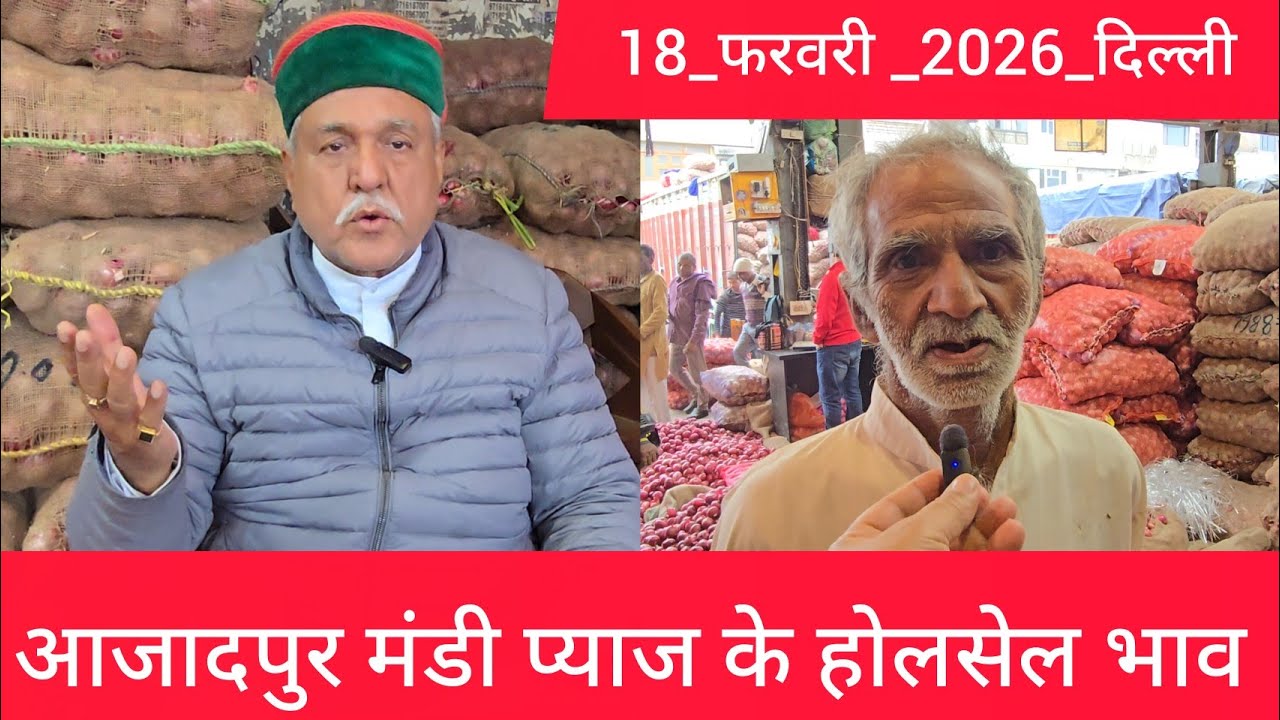 February 18, 2026 दिल्ली 🧅प्याज के होलसेल भाव azadpur delhi mandi onion market price #onionmarket
