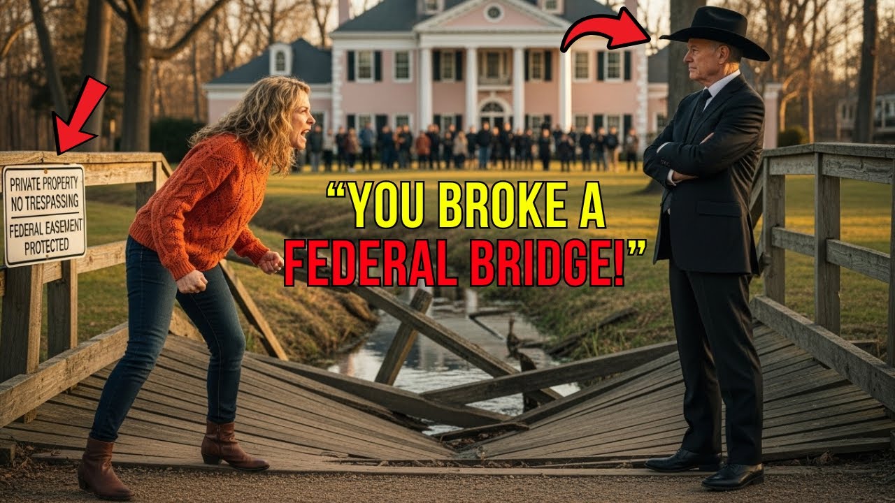 HOA Demolished My Ranch Bridge — They Had No Idea I’m a Federal Judge!