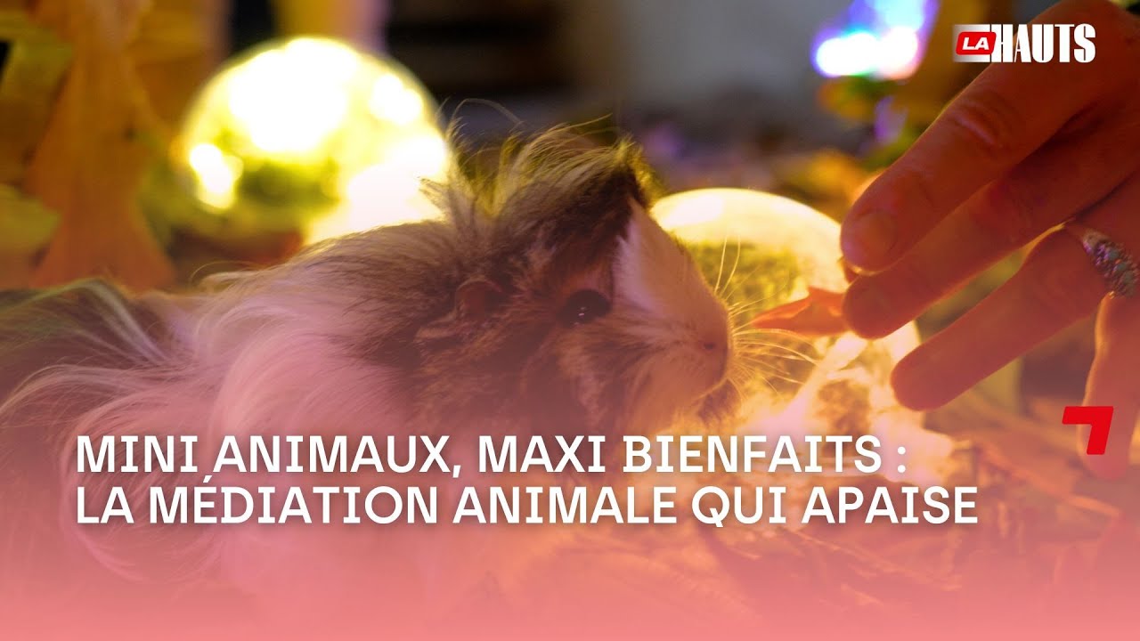 Ozz'Happy : la médiation animale au service des troubles psychiatriques