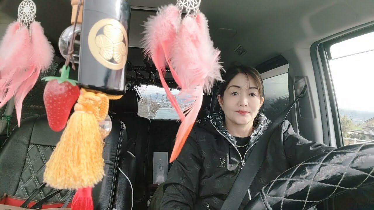 Driving to Nagoya with my Bunso