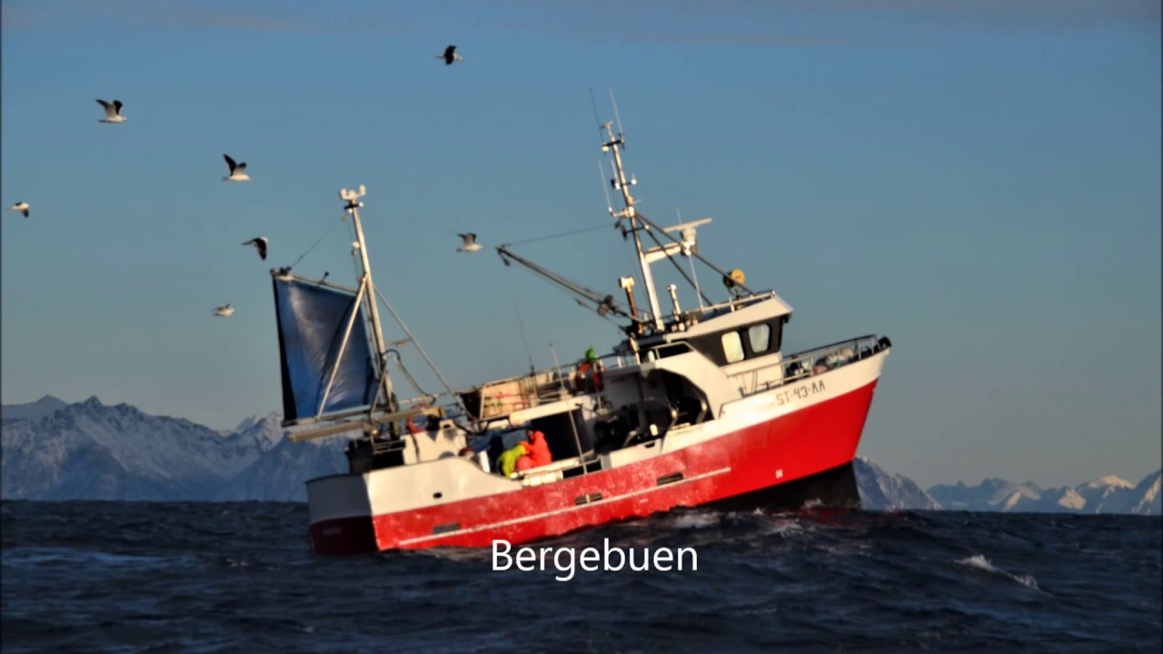 Ballstad,  båter  i lofoten  fiskebåter og andre båter