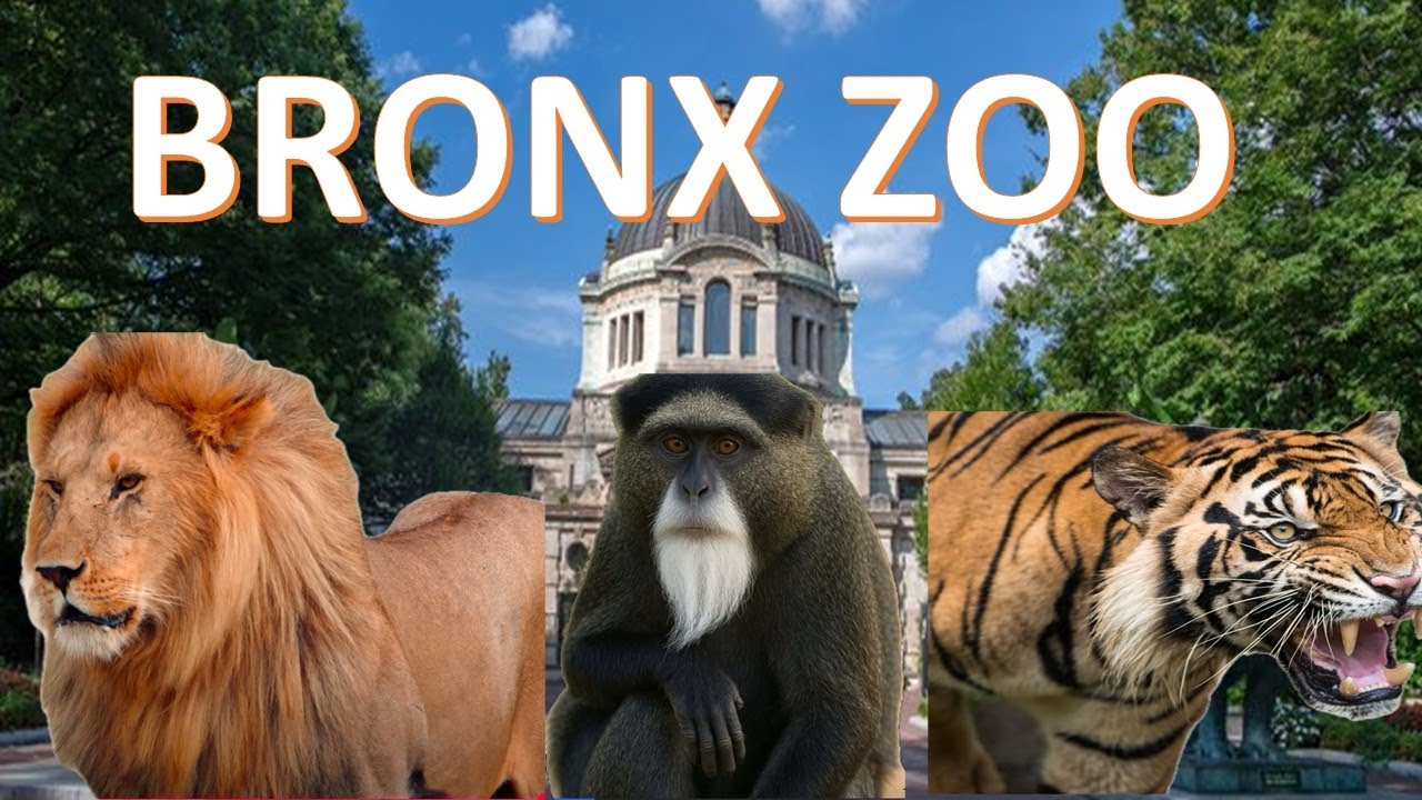 Memorable Bronx Zoo I স্মরণীয় ব্রঙ্কস চিড়িয়াখানা