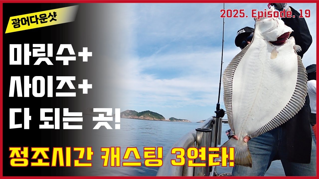 광어다운샷 - 마릿수+사이즈 다되는 곳!! (아직도 대광어가?)