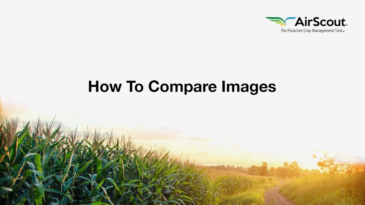 How To Compare Images