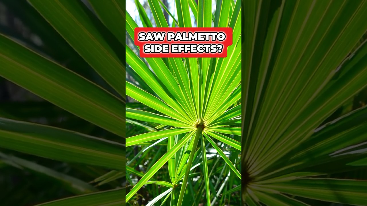 DOES SAW PALMETTO CAUSE SEXUAL SIDE EFFECTS? (NOT FINASTERIDE)