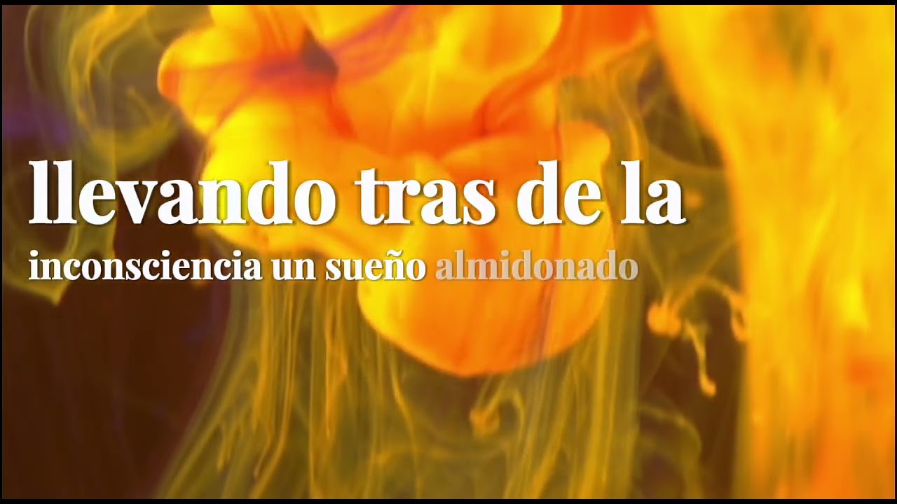 Se ha ido - Fato (Video Lyric)