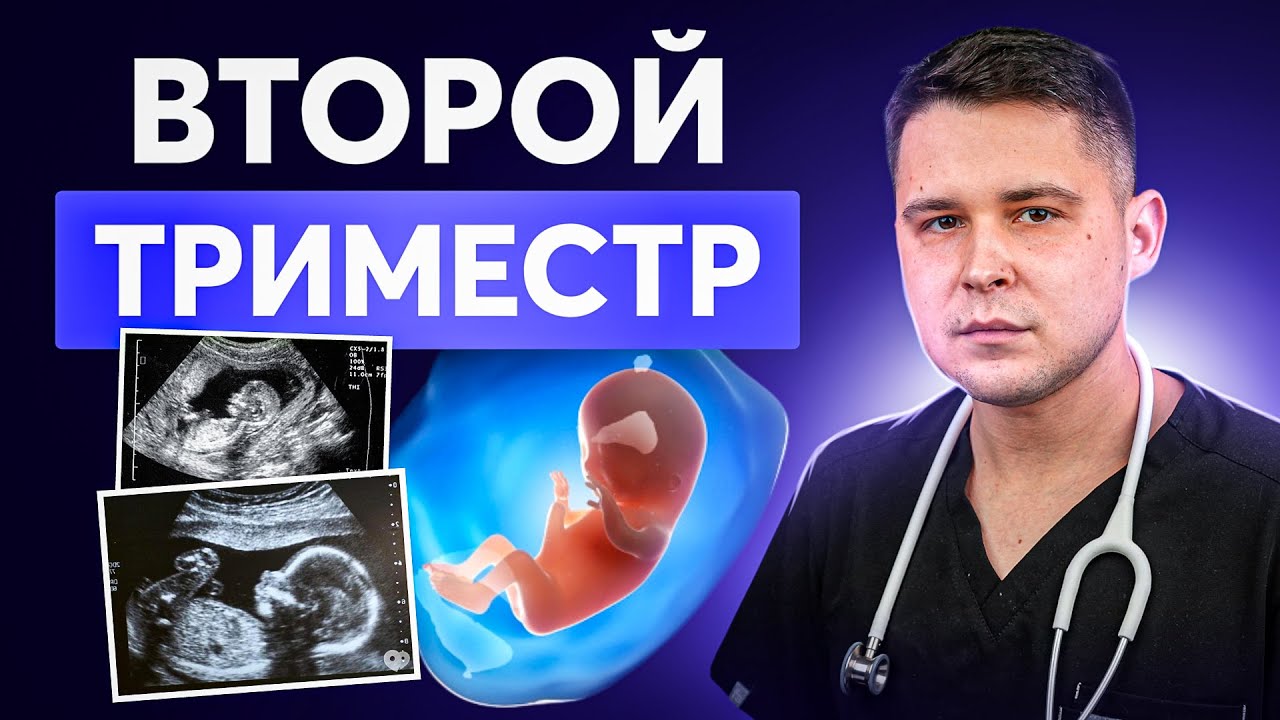 13-27 неделя беременности: Что необходимо знать о втором триместре?