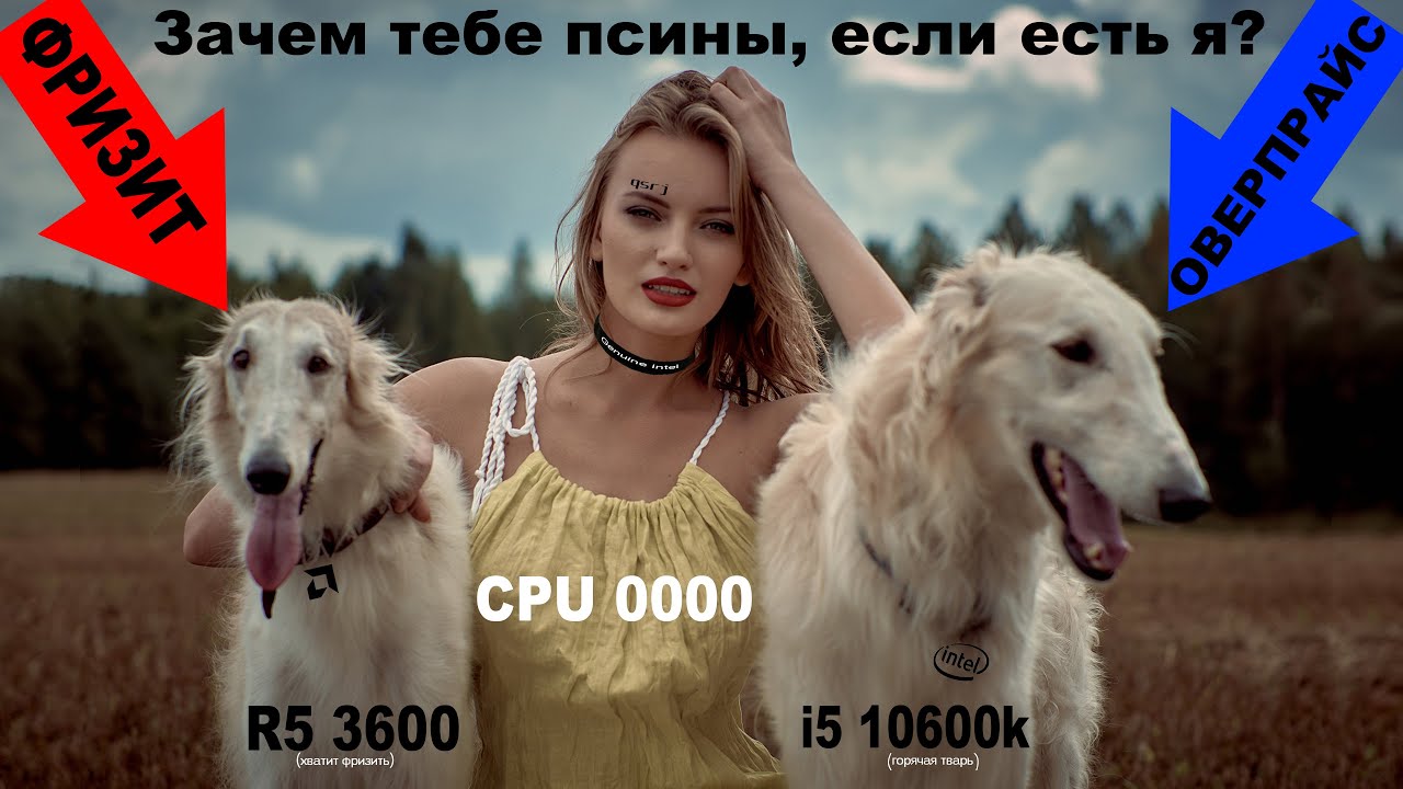 QSRJ. Инженерный 10600k ES за 14к рублей разносит релизный i5 10600k