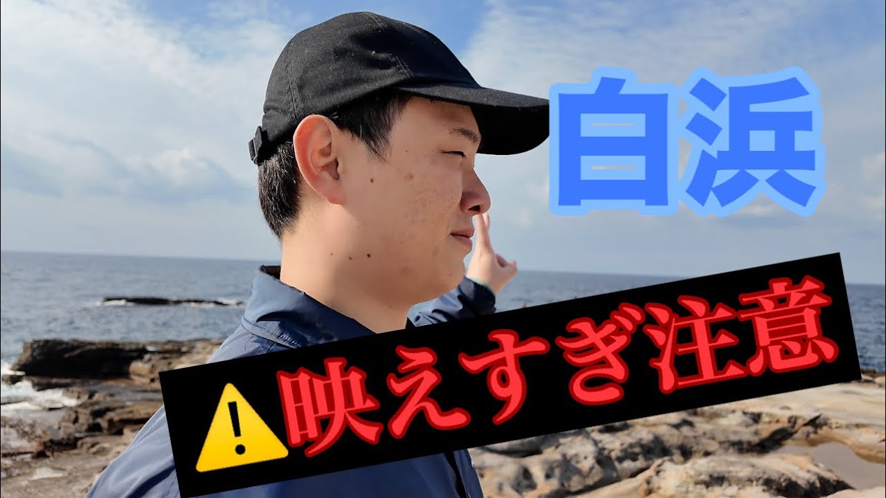 パンダがいた町、白浜の現在