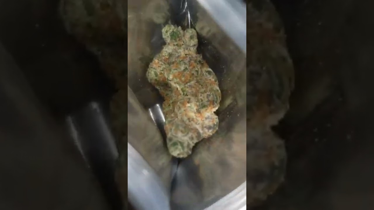 Cookies x PowerZZZup - Parts UnKnown