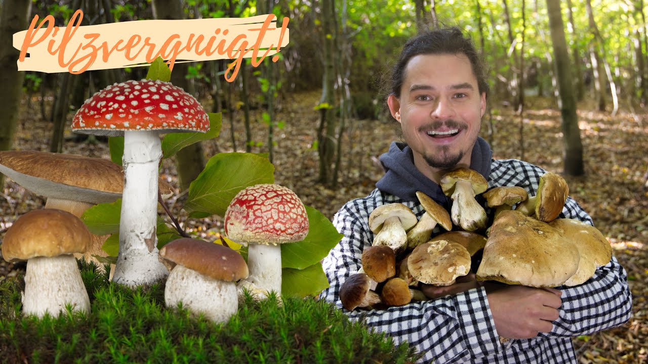 So findest du GARANTIERT STEINPILZE 2024 - die Top 3 Anzeiger-Pilze f&uuml;r gute Standorte! 😃