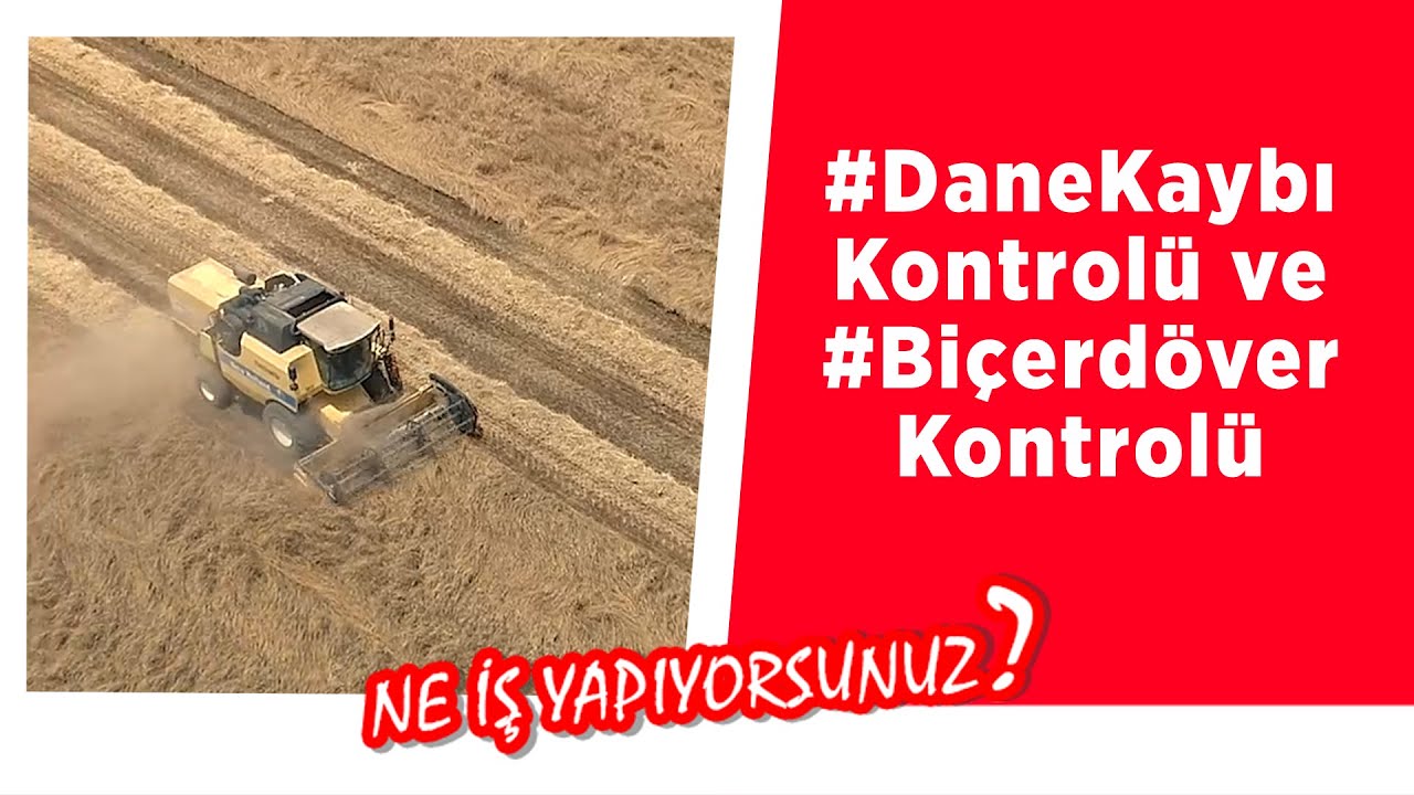 #NeİşYapıyorsunuz?  #DaneKaybı Kontrolü ve #Biçerdöver Kontrolü Gerçekleştiriyor