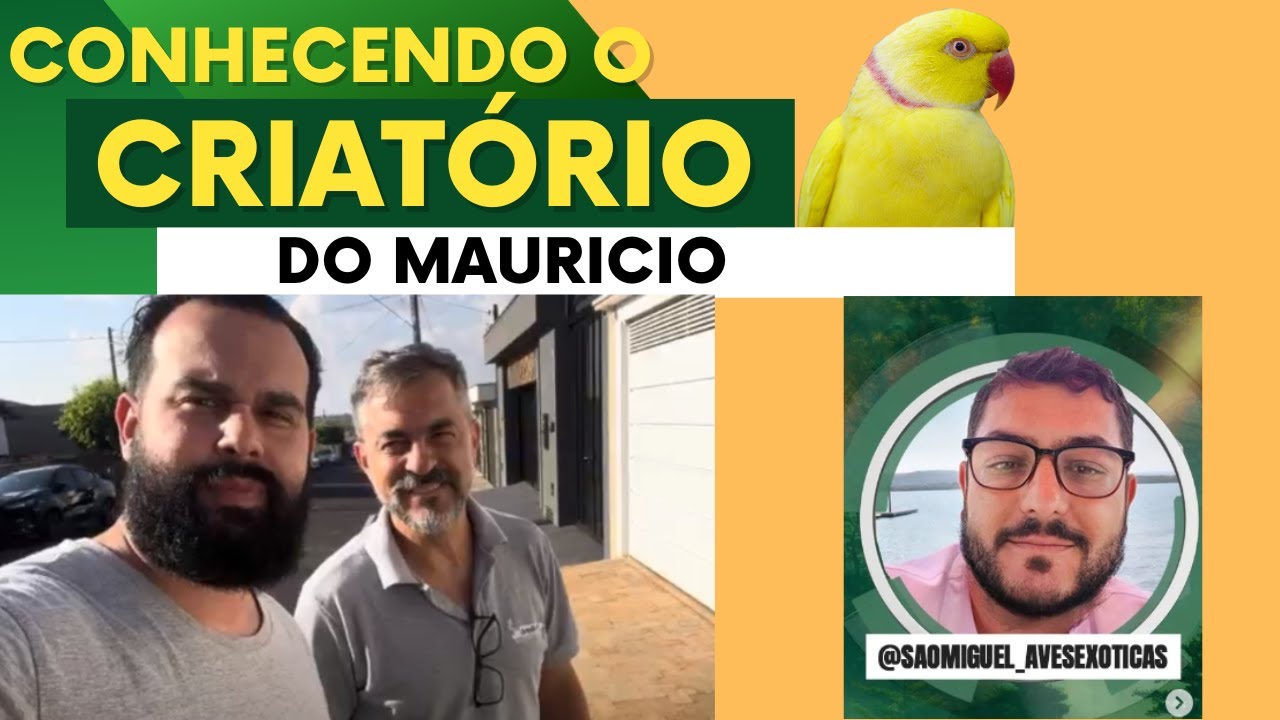 CRIATÓRIO COMERCIAL NA GARAGEM DE CASA EM SP: CONHEÇA AGORA!