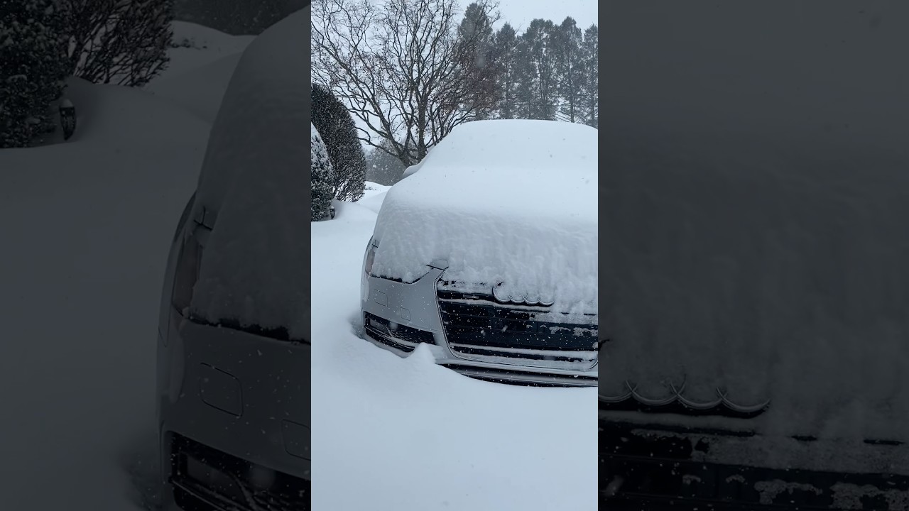 #winterstorm2026 🇺🇸☃️❄️🥶#snow #winter #heavysnowfall #cold