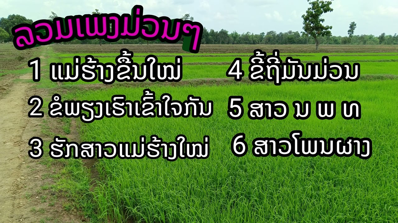 ລວມເພງລາວມ່ວນໆ2025 ແມ່ຮ້າງຂຶ້ນໃໝ່ / ຂໍພຽງເຮົາເຂົ້າໃຈກັນ / ຮັກສາວແມ່ຮ້າງໃໝ່