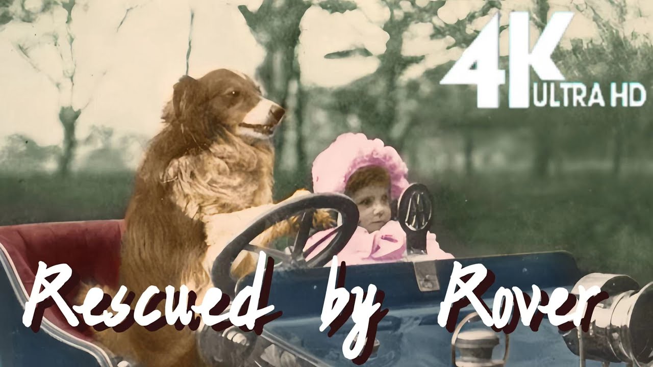 4K Restored | Rescued by Rover🎬 HD Colorized Full Movie | Short Crime Drama Family|1905 义犬救主|Blair