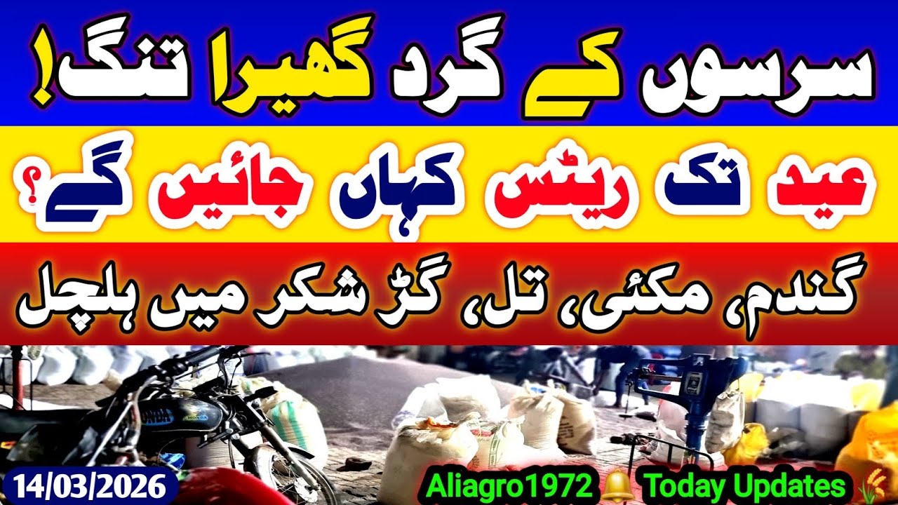 Sarson Munji Makai Bajra Jowar Rates | Aaj Ki Mandi Update – 14 March 2026