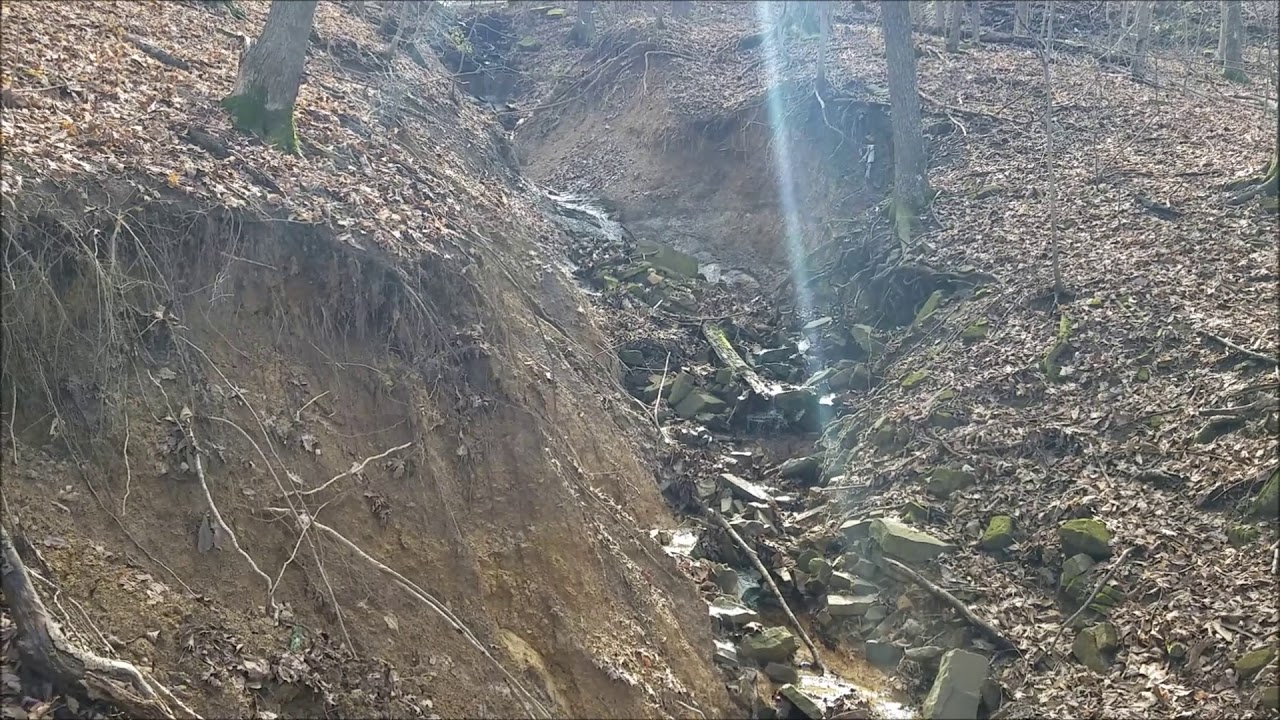 Урок геоморфологии: Овраги