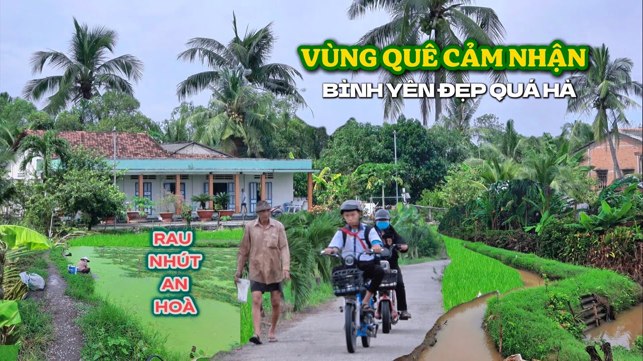 Đường Quê Quanh Co Buổi Sáng , Bình Yên Chú Thăm Câu Sớm, Vùng Sâu Trồng Rau Nhút Ở TT Thủ Thừa Xưa