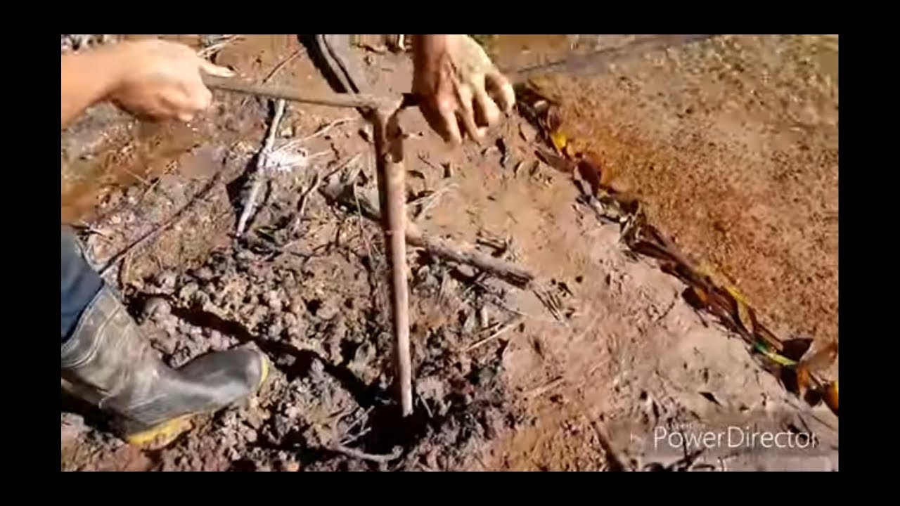 GOLD!!! ENSINANDO COMO ACHAR OURO DE FORMA RÁPIDA E FÁCIL