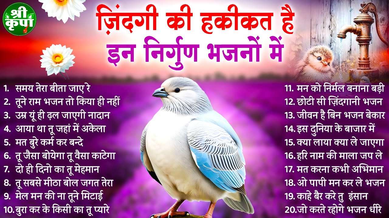 जिन्दगी की हकीकत है इन निर्गुण भजनों में | Nirgun Bhajan|निर्गुण भजन |Latest Nirgun Bhajan 2025