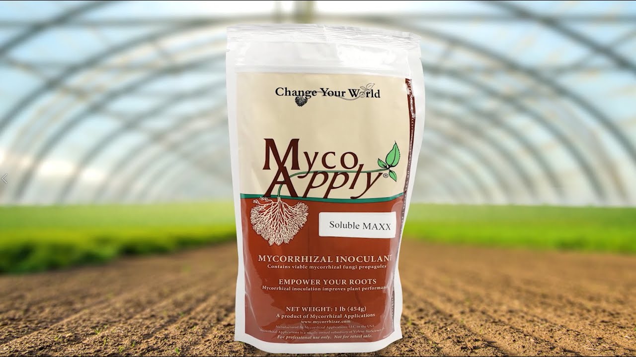 MycoApply Soluble MAXX