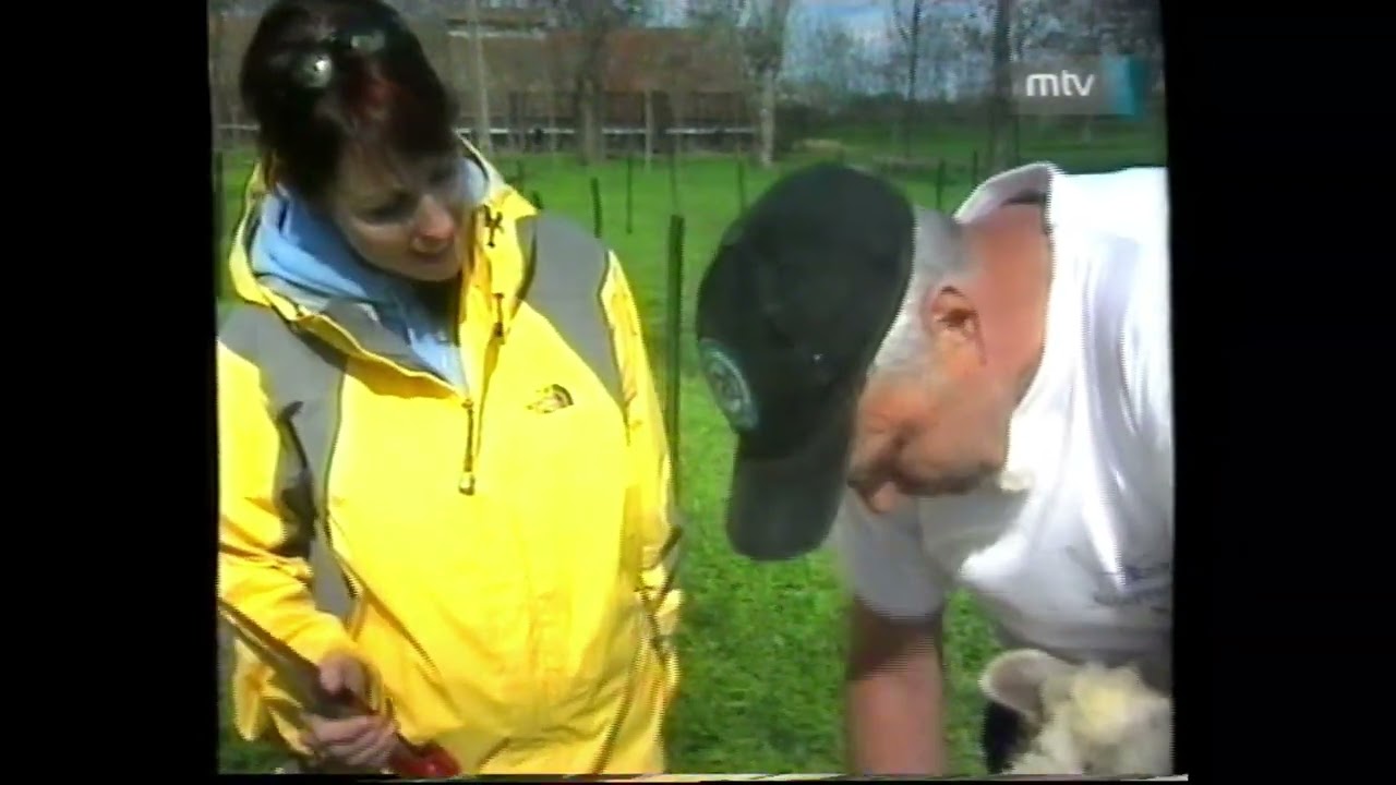 2004. április 18 - Főtér című műsor Hódmezővásárhelyről
