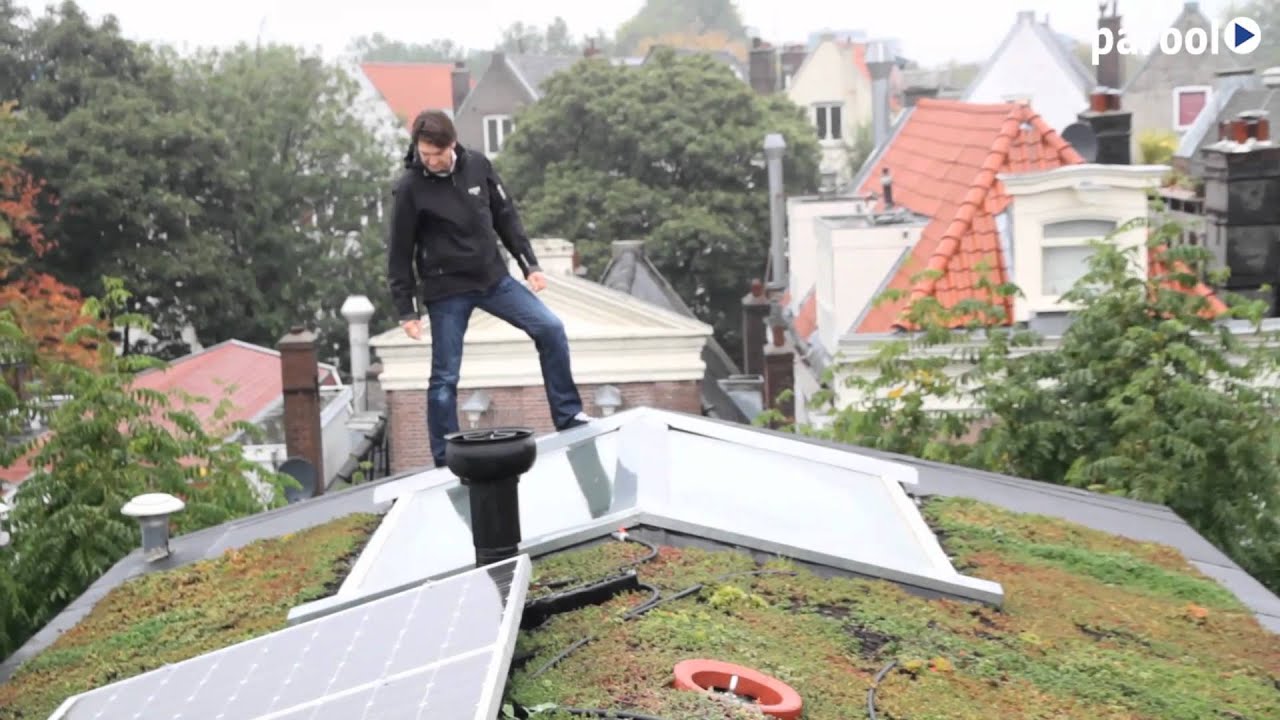 'Ondanks minpuntjes is een groen dak toch aan te raden'