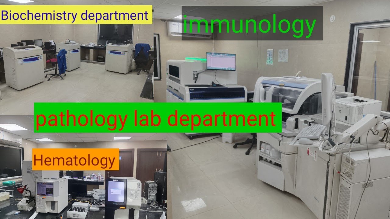 Pathology lab department / biochemistry / hematology / immunology / molecular, histology