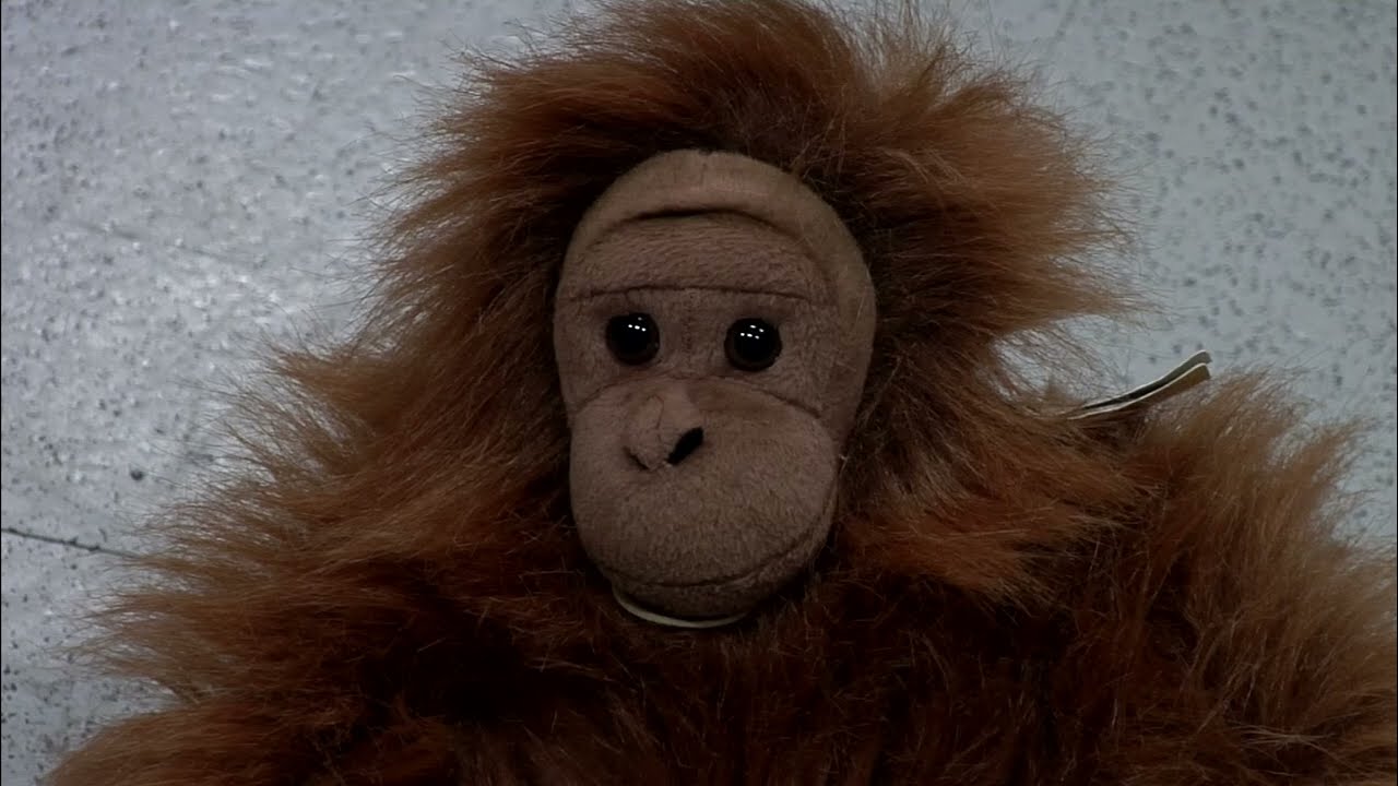 WLU 48 Hour Film Fest - College Entry - Best Use of Genre - Simian Slaughter