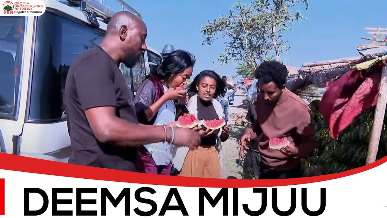 Mijuu Dilbataa:Deemsa Mijuu Gara Aanaa Lumee.