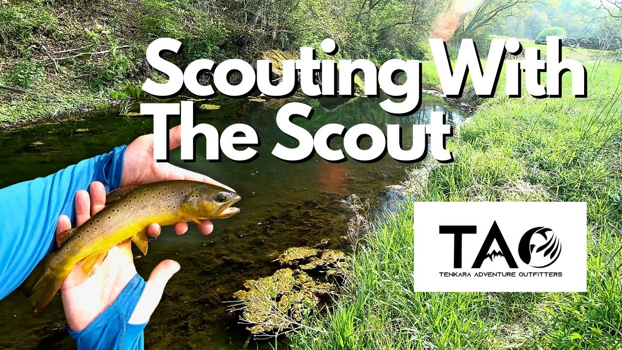 Scouting Out A Creek With The TAO SCOUT! (Tenkara Fly Fishing) 