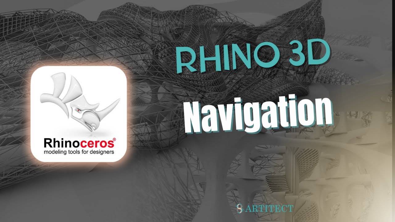 2 Viewports & Navigation Tools