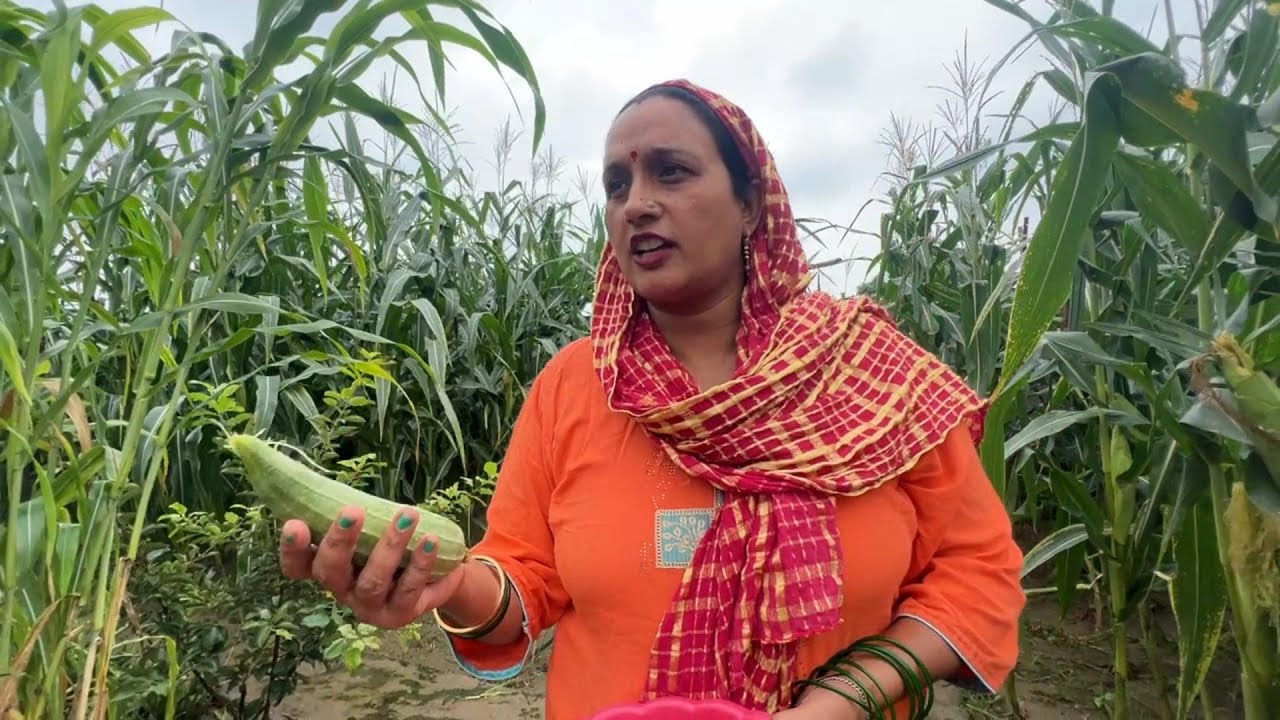 परिवर्तन प्रकृति का नियम, इसके साथ चलना ही होगा || Pal Family Vlogs