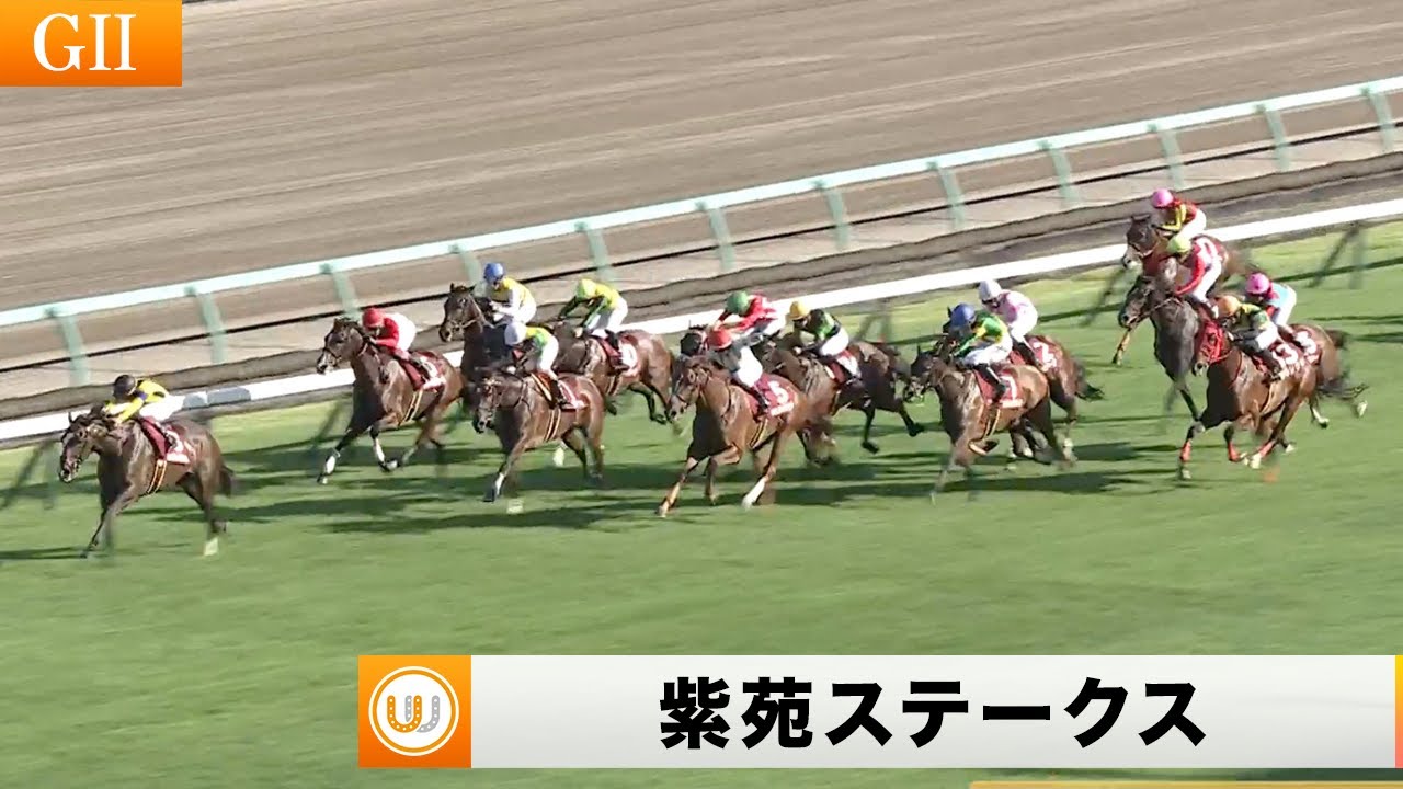 【2023】紫苑ステークス（GII）中山競馬場11R ｜ウイニング競馬 2023年9月9日（土）