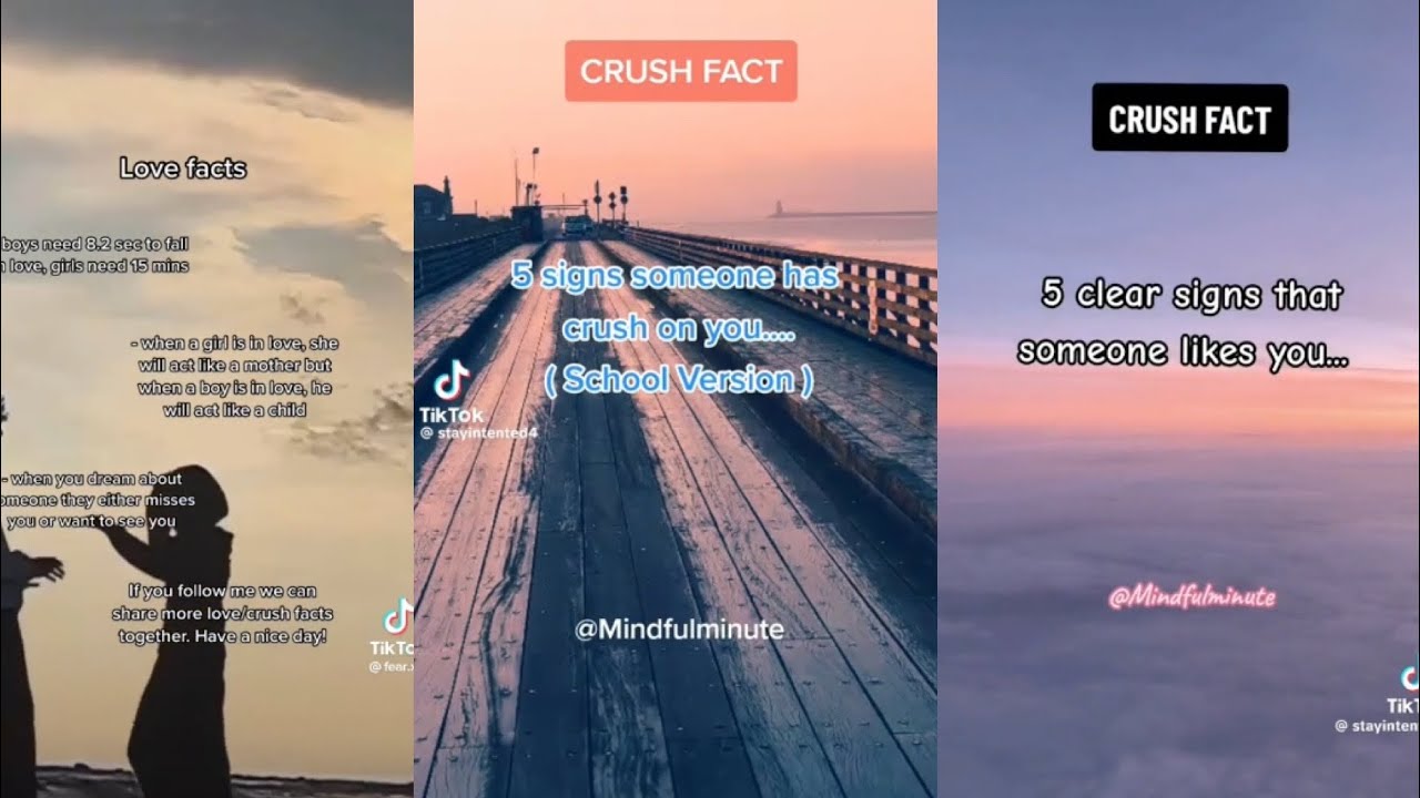 Crush Facts || Amazing Facts About Your Crush Or Love || Psychology Facts || #tiktok #compilation