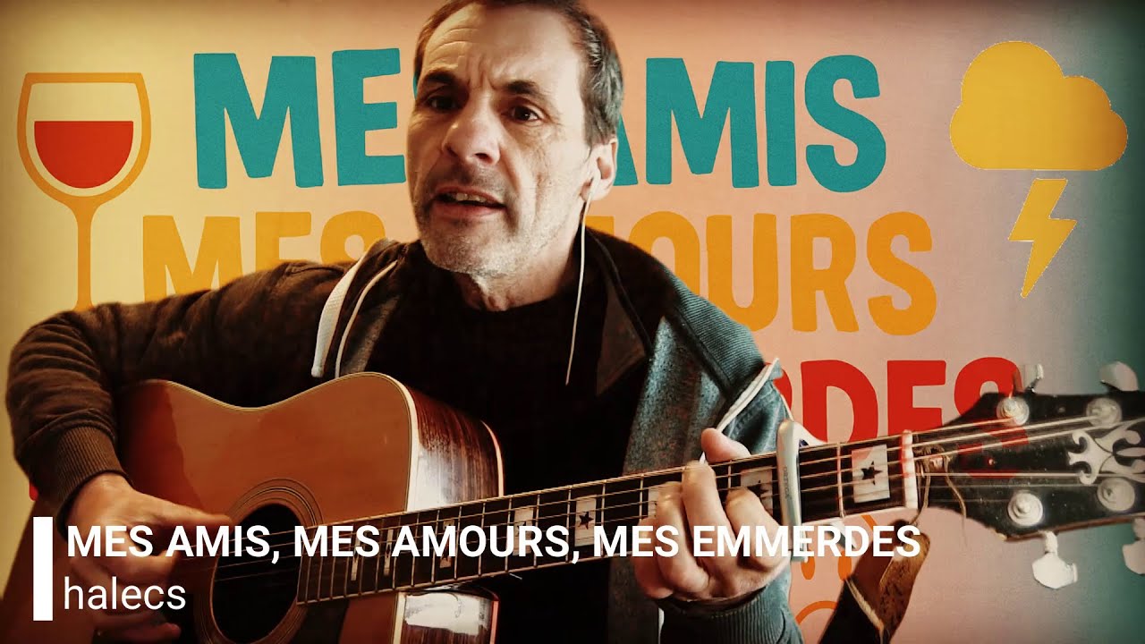 MES AMIS, MES AMOURS, MES EMMERDES