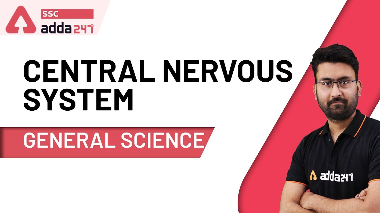 Central Nervous System | General Science For SSC CHSL | SSC CGL | NTPC