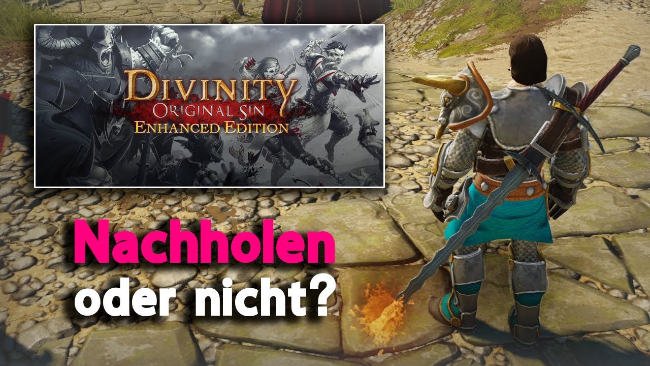 Ich habe endlich Divinity: Original Sin gespielt