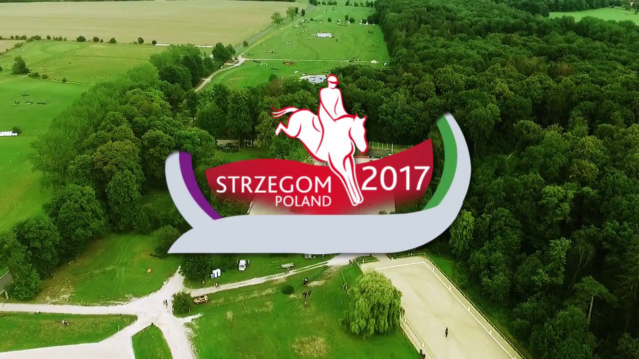 Mistrzostwa Europy w WKKW - Strzegom 2017
