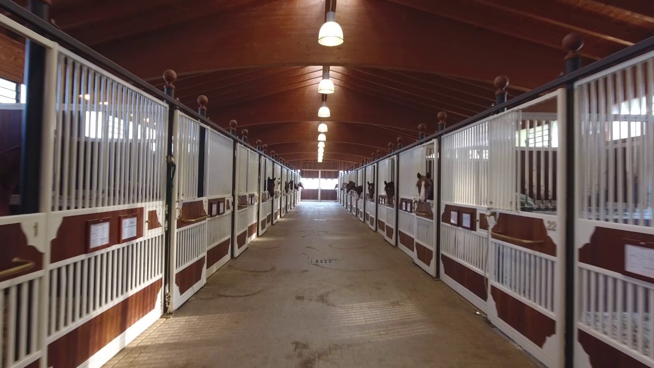 Luga Qh Italy
