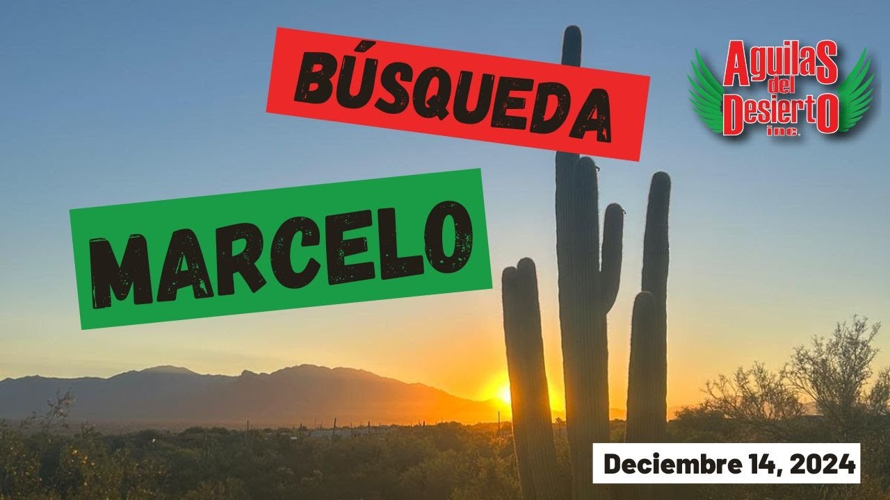 Aguilas del Desierto - Búsqueda - Marcelo - 2024-12-14