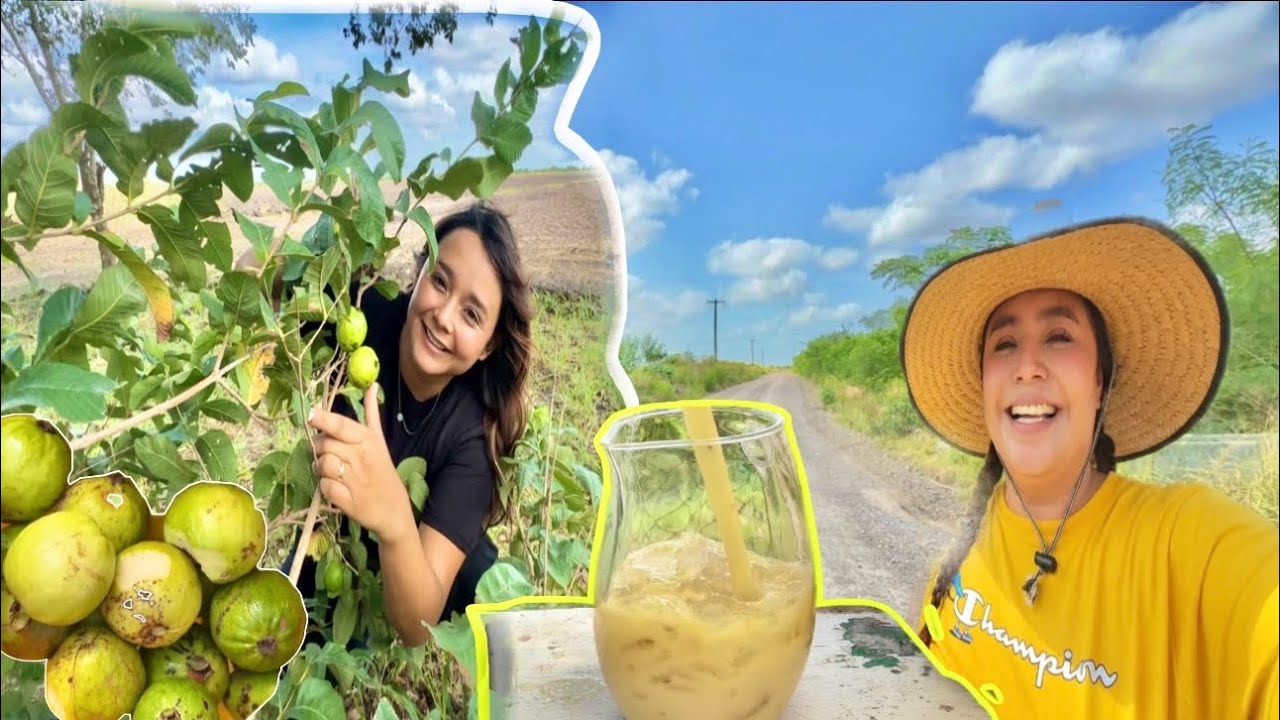 Nos fuimos al monte a cortar guayabas |Me dieron con el cinto por esta razón😱|valeria aguilera