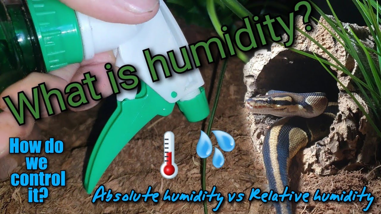 How to you control your Snake's Humidity