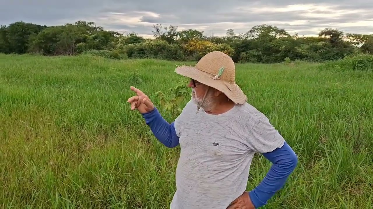 MOSTRANDO COMO  ESTA A PASTAGEM,DEPOIS DA CHUVA 