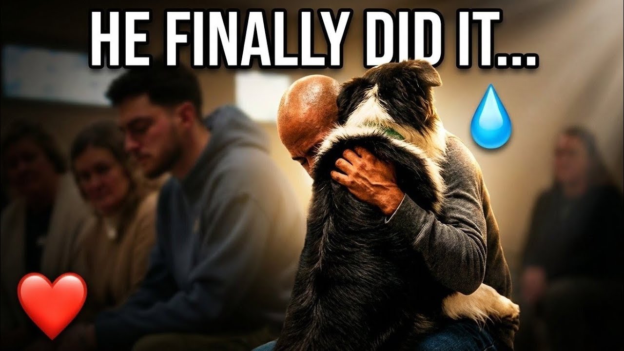 When Dogs Choose Their Humans - Compilation Best Adoption  Moments