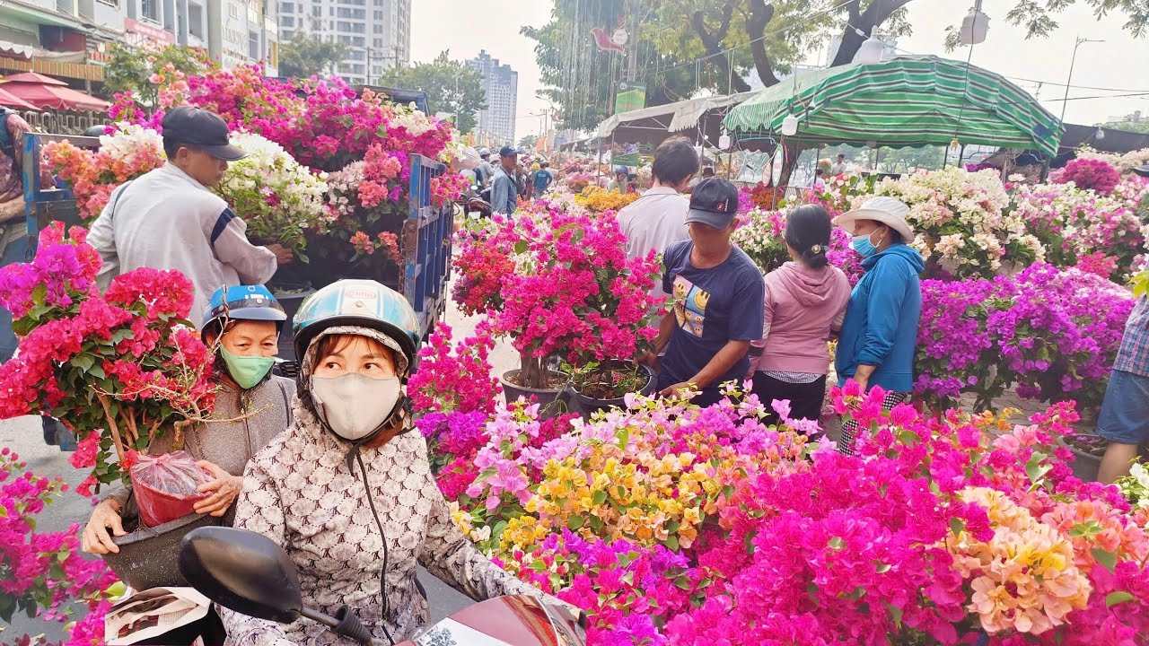 Hoa RẺ vỡ trận tại chợ hoa BẾN BÌNH ĐÔNG 2026/ NGHÈO giàu tấp nập mua hoa Tết ở Sài Gòn 